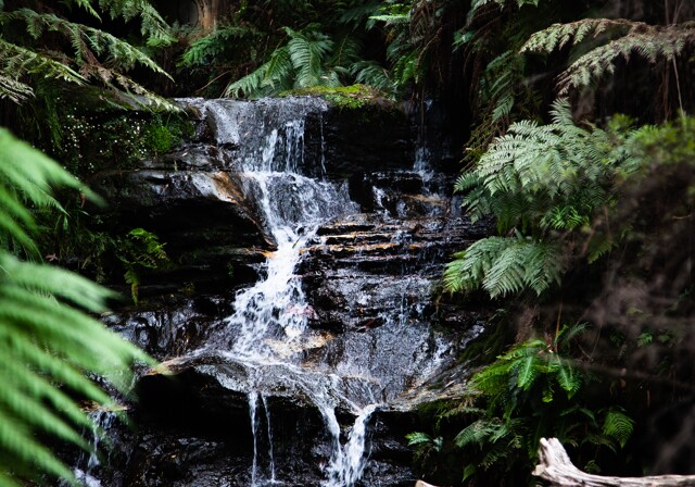 Ein Wasserfall im Wald